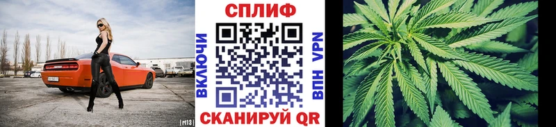 купить  цена  Арск  МАРИХУАНА SATIVA & INDICA 